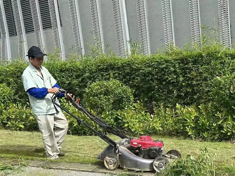 圖片關鍵詞