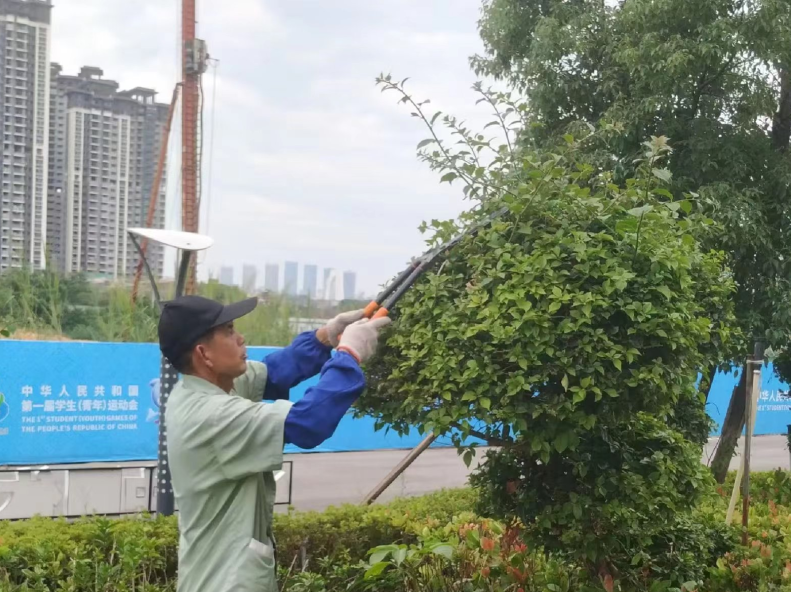 圖片關鍵詞