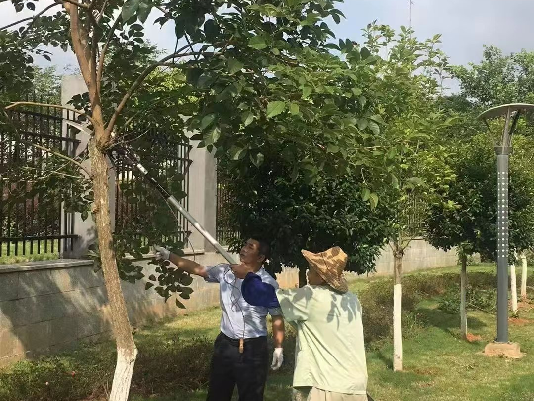 圖片關鍵詞