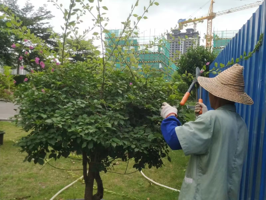 圖片關鍵詞