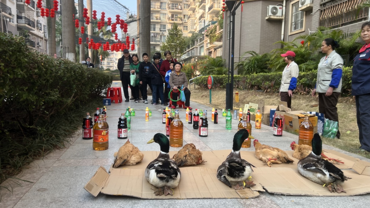 圖片關鍵詞